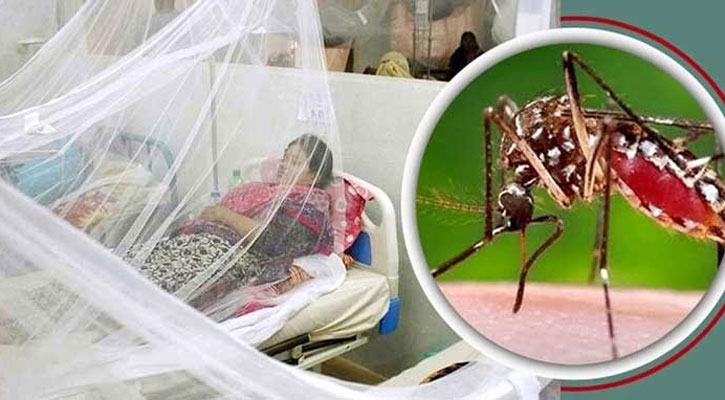ডেঙ্গুতে ১৩ জনের মৃত্যু, হাসপাতালে ভর্তি ২৩২৭