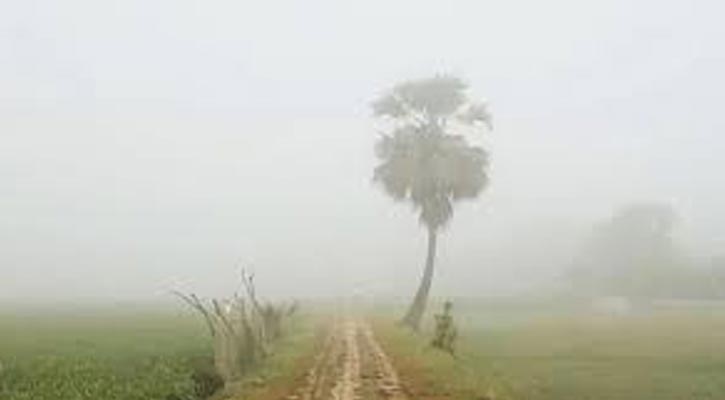 ভোরে মাঝারি ধরনের কুয়াশা পড়বে