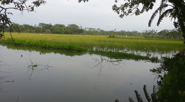 লংগদুতে চারদিন ধরে বিদ্যুৎ বিচ্ছিন্ন হাজারো মানুষ!