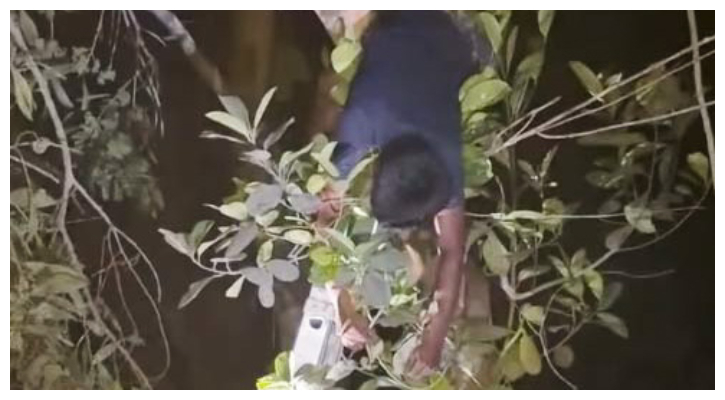 গাছের ডাল কাটতে গিয়ে বিদ্যুৎস্পৃষ্টে ২ ব্যক্তির মৃত্যু