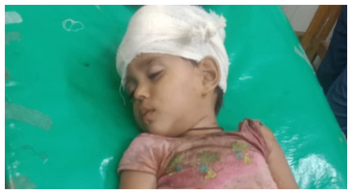 মেহেন্দিগঞ্জে শিশুর মাথা ইট দিয়ে থেঁতলে দেওয়ার অভিযোগ