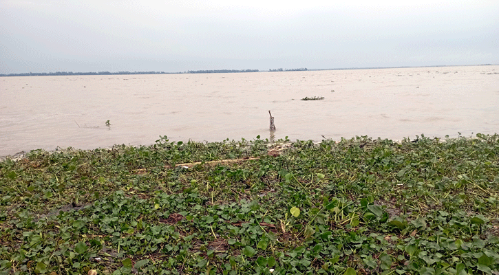 সিরাজগঞ্জে দ্রুতগতিতে বাড়ছে যমুনার পানি